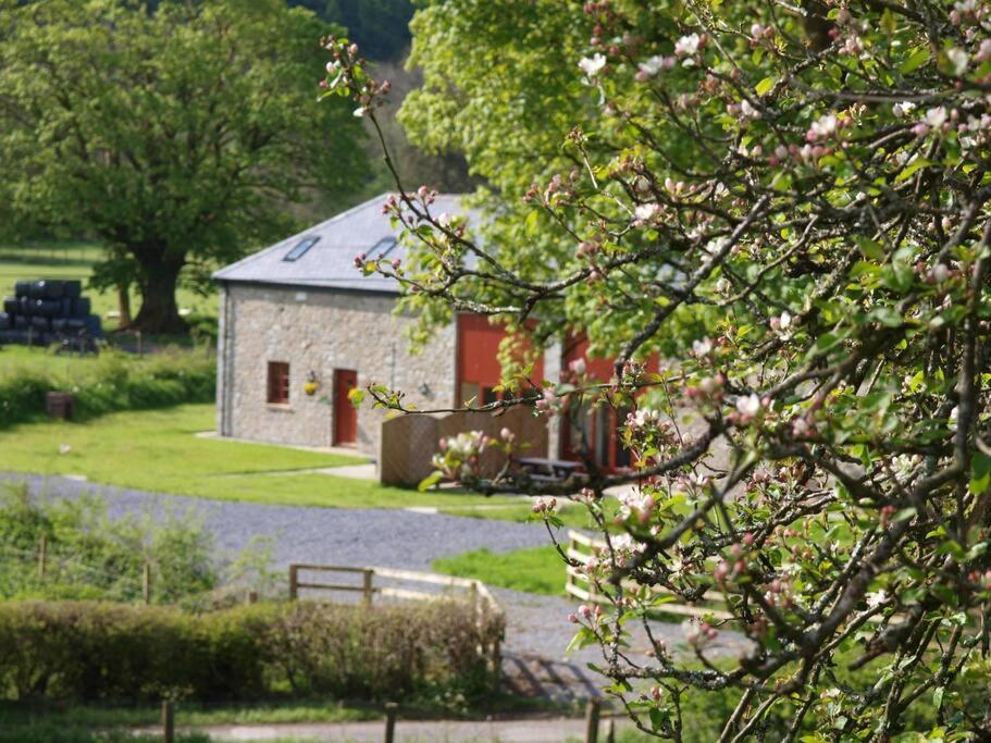 Peregrine Stable Cottage Llandovery Bagian luar foto